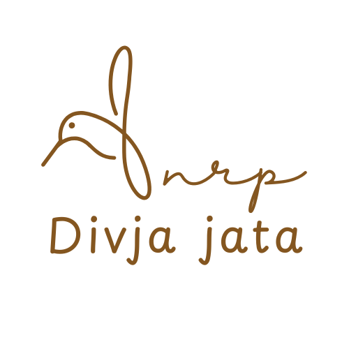 Logo nrp